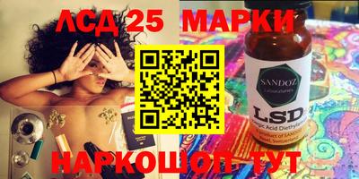 кокс Кингисепп