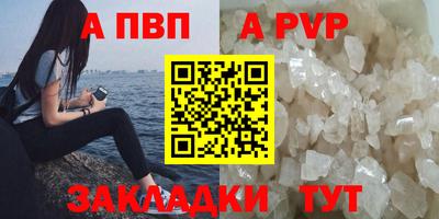 кокс Кингисепп