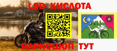 кокс Кингисепп