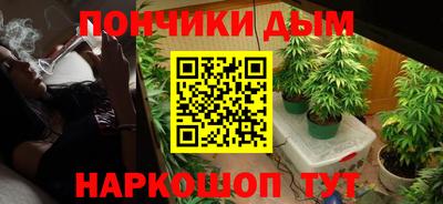 индика Кимры