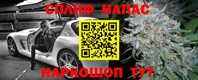 кокс Кингисепп
