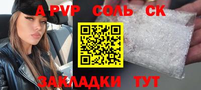 кокс Кингисепп